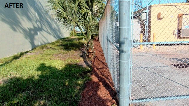 SITECLEANUP/8117122.JPG